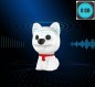 Avainnipun ääninauhuri piilotettu - Koiramalli, jossa 8 Gt muistia + MP3-soitin