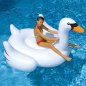 Inflatable Swan pool toy XXL