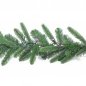 Christmas garland na may ilaw Smart 50 LED RGB + W - Twinkly Garland + BT + WiFi