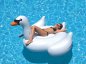 Mainan kolam Swan tiup XXL