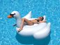 Inflable Swan pool toy XXL