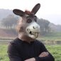 Donkey mask - silicone face / head mask donkey para sa mga bata at matatanda