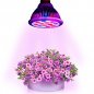 Fluorescentes luces de crecimiento 36W (12X3W)