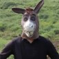 Maska magarac - silikonska maska za lice/glavu magarac za djecu i odrasle