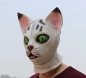 Máscara de gato blanco - máscara facial (cabeza) de silicona para niños y adultos