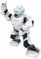 Interaktivni, programabilni robot Alpha 1Pro - humanoid