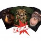 MEGA Action - 3 animal t-shirts for a great price