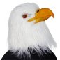 Aamerican eagle mask - face (head) white mask for children and adults