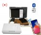 Mini caja fuerte para dinero y objetos de valor - Caja fuerte portátil con alarma (aplicación móvil) - UpLock Evolution
