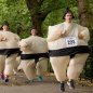 Sumo suit - wrestler costume - inflatable wrestling suits for halloween + fan