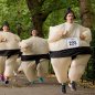 Sumo obleka - kostum za rokoborca - napihljiva obleka za rokoborbo za noč čarovnic + ventilator
