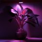 Ampoule LED 7W - éclairage pour plantes