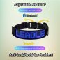 Collare luminoso per cani programmabile tramite smartphone con display monocolore
