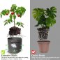 Growing bag - Eco grow planter bag - 100 cm diameter