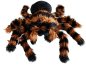Aranha de pelúcia - Grande (gigante) almofada de tarântula de pelúcia peluda para crianças 50x85cm