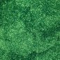 Decoraciones corporales Bio Glitter - Polvo brillante (polvo) cara, cabello, piel - 10g (Verde)