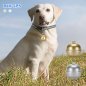 Dog gps collar sa bell - mini gps locator para sa mga aso / pusa / hayop na may Wifi at LBS tracking - IP67