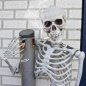 骨格モデル - 人間の解剖学的 3D フル 実物大の骨格 1.70 m