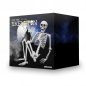 Skeleta modelis — cilvēka anatomisks 3D pilns liels dabiska izmēra skelets, 1,70 m