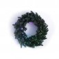Wreaths lights with LED - 50pcs RGB + W - Twinkly Wreath + BT + WiFi