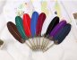 Feather pen - dip ink quill pen set + 5 nibs in a gift package