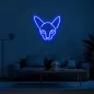 Logótipo de iluminação LED em forma de sinal de néon CAT na parede 50cm