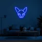 LED osvetlitev oblika logotipa CAT neonski napis na steni 50 cm