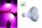 LED bec pentru plante 21W (7x3W)