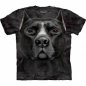 Animal faccia t-shirt - Pitbull