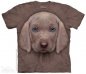 Högteknologisk djurskjorta - Weimaraner