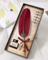 Перьевая ручка - набор перьевых ручек + 5 наконечников в подарочной упаковке