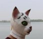 Fehér macska maszk - szilikon arc (fej) maszk gyerekeknek és felnőtteknek