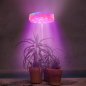 Luz para plantas - Plantas de cultivo LED - Iluminación de cabeza RGB 9W telescópica + Temporizador