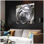 Light up wall pictures Metal (aluminum) - LED RGB 20 programmable colors - Rose 50x50cm