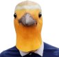 Bird Mask - silikoninen kasvo- ja päänaamio lapsille ja aikuisille