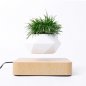 フローティング植木鉢-磁気木製ベースに360°植木鉢を浮上