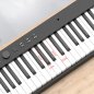 Folding keyboard (digital piano) 123 cm with 88 keys + Bluetooth + Midi + Recording