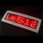 LED皮带扣-红色钻石