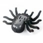Spider tarantula with the remote control