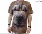 Eco póló - Shar pei téma