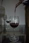 Wine aerator with the Hawk stand