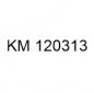 KM120313