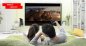 Box Android TV 4.0 + pour Lenovo Wireless Keyboard