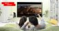 Android Box pro TV 4.0 + Lenovo  Wireless Keyboard