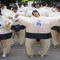 Sumo suit - wrestler costume - inflatable wrestling suits for halloween + fan