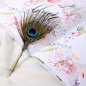 Peacock feather pen quill – luksuriøs historisk pen i en gavepakke + 5 nibs