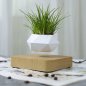 Floating plant pot - levitating 360° flowerpot on a magnetic wooden base