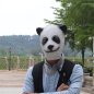 Maska Panda - Silikonowa maska na twarz/głowę dla dzieci i dorosłych