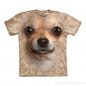Baju alat berteknologi tinggi- Chihuahua