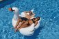 Inflable Swan pool toy XXL